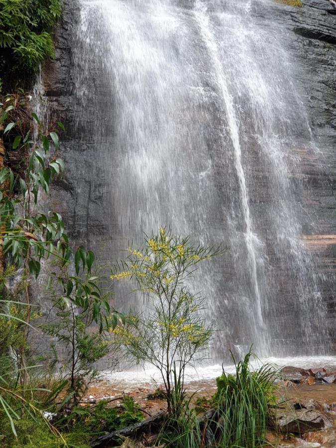 Halls Gap Motel Luaran gambar
