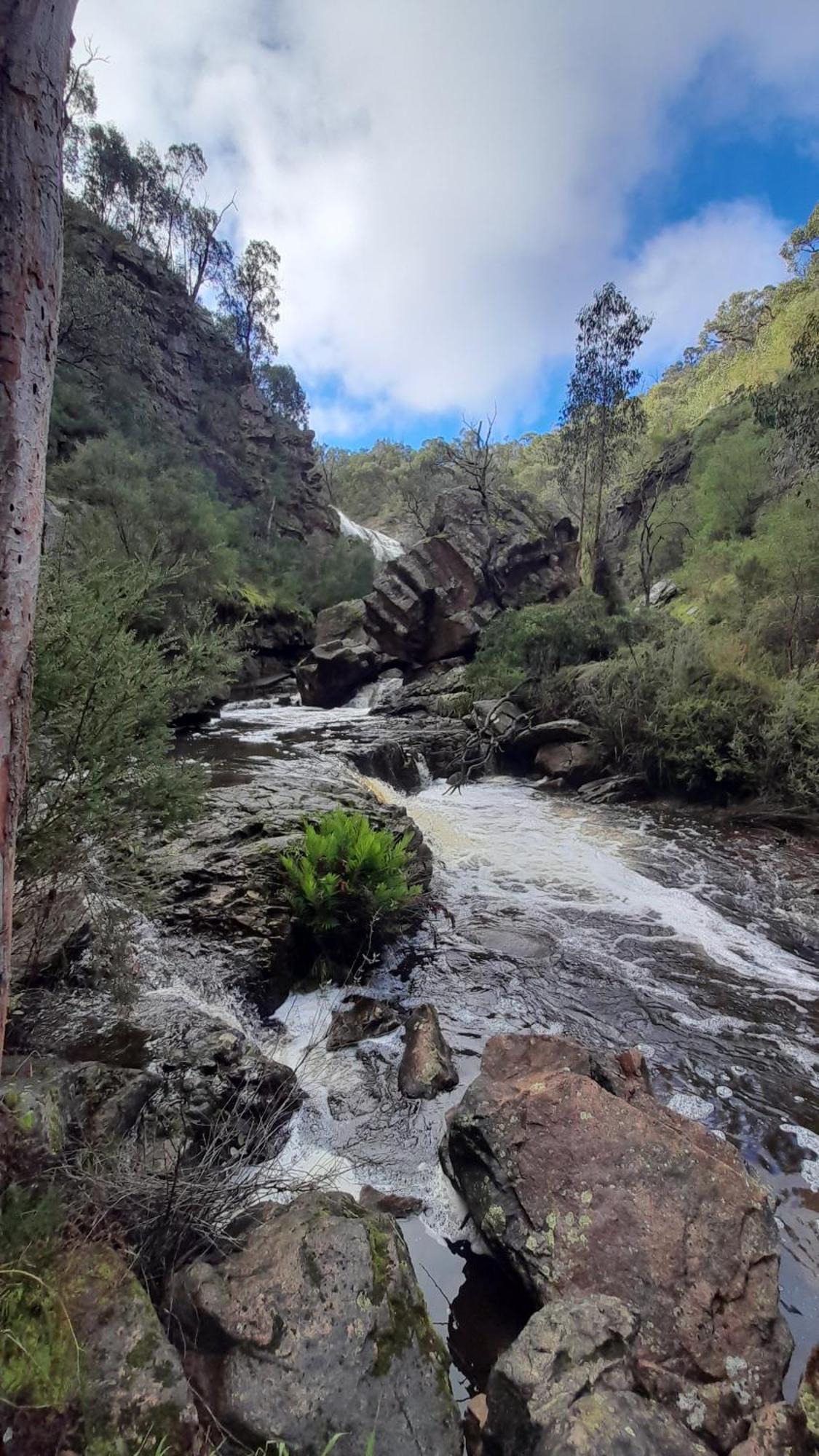 Halls Gap Motel Luaran gambar