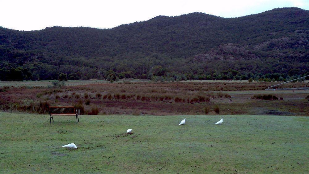 Halls Gap Motel Luaran gambar