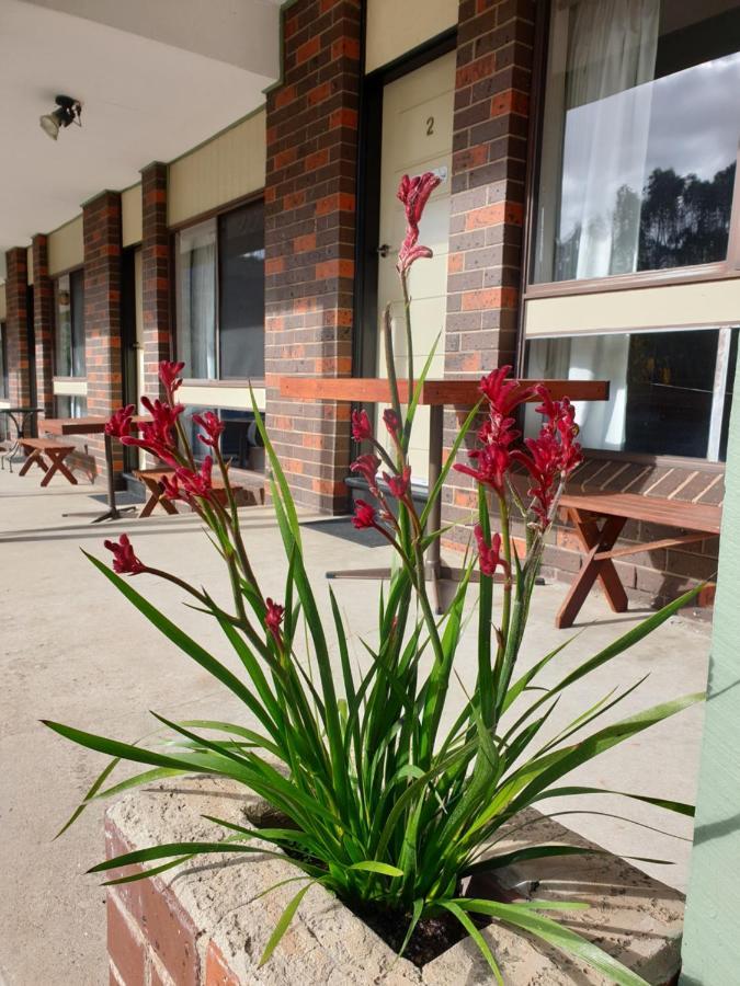 Halls Gap Motel Luaran gambar